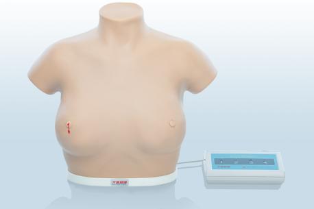 電子乳腺癌觸診、視診訓(xùn)練模型