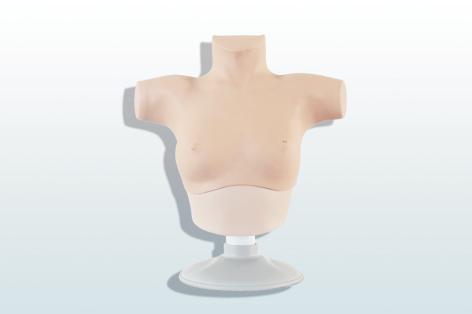 乳腺癌觸診、視診訓(xùn)練模型